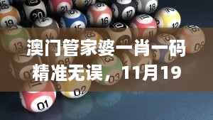 澳門管家婆一肖一碼精準無誤，11月19日即時響應(yīng)實施方案_QAJ6.15.29旅行者特別版