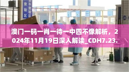 澳門一碼一肖一待一中四不像解析，2024年11月19日深入解讀_CDH7.23.95連續(xù)版