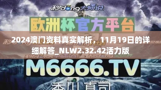 2024澳門資料真實(shí)解析，11月19日的詳細(xì)解答_NLW2.32.42活力版