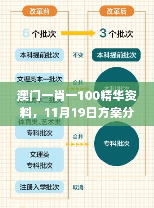 澳門(mén)一肖一100精華資料，11月19日方案分析與解讀_PDE3.33.55精選版