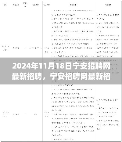 寧安招聘網(wǎng)最新招聘求職全攻略（2024年11月版）