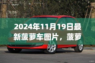 2024年菠蘿車新篇章，最新圖片解析與展示