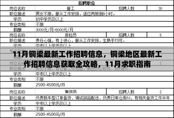 銅梁地區(qū)最新招聘全攻略，求職指南與招聘信息獲取指南（11月版）