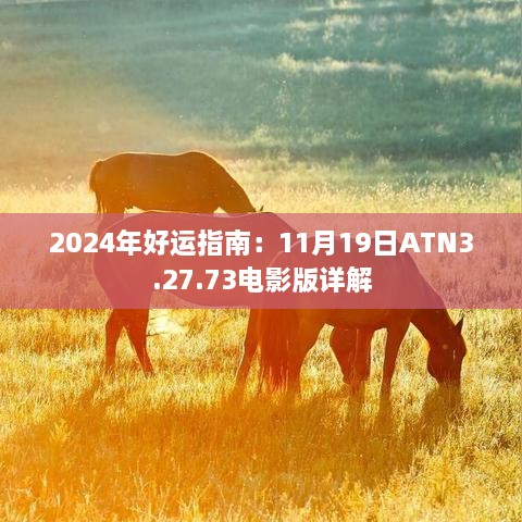 2024年好運(yùn)指南：11月19日ATN3.27.73電影版詳解