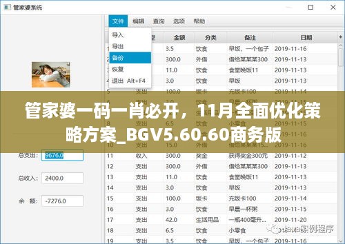 管家婆一碼一肖必開，11月全面優(yōu)化策略方案_BGV5.60.60商務(wù)版