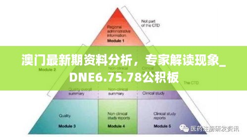 澳門最新期資料分析，專家解讀現(xiàn)象_DNE6.75.78公積板