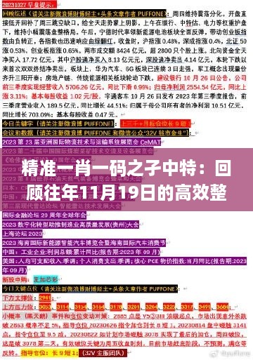 精準一肖一碼之孑中特：回顧往年11月19日的高效整合方案執(zhí)行_GBF6.64.24神念境