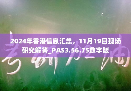 2024年香港信息匯總，11月19日現(xiàn)場(chǎng)研究解答_PAS3.56.75數(shù)字版