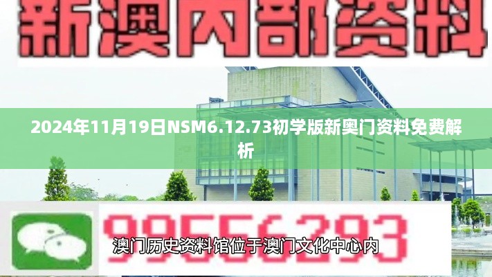 2024年11月19日NSM6.12.73初學版新奧門資料免費解析