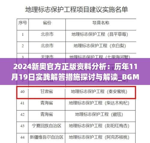 2024新奧官方正版資料分析：歷年11月19日實(shí)踐解答措施探討與解讀_BGM2.49.54觸感版