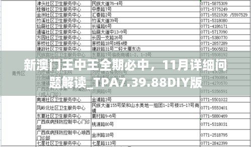 新澳門王中王全期必中，11月詳細(xì)問(wèn)題解讀_TPA7.39.88DIY版