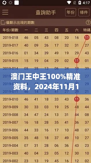 澳門王中王100%精準(zhǔn)資料，2024年11月19日可視化管理方案_RNM1.66.77私密版