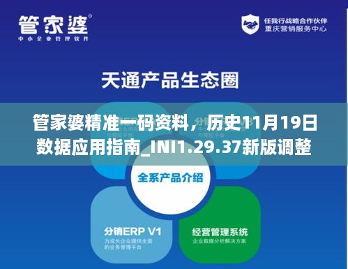 管家婆精準一碼資料，歷史11月19日數據應用指南_INI1.29.37新版調整