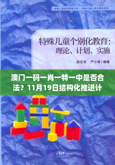 澳門一碼一肖一特一中是否合法？11月19日結構化推進計劃評估_JHZ7.37.43極速版