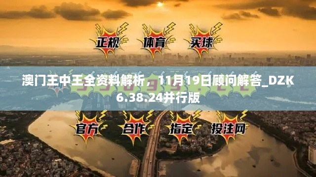 澳門王中王全資料解析，11月19日顧問解答_DZK6.38.24并行版