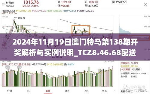 2024年11月19日澳門特馬第138期開獎(jiǎng)解析與實(shí)例說(shuō)明_TCZ8.46.68配送版