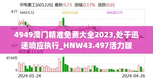 4949澳門精準免費大全2023,處于迅速響應執(zhí)行_HNW43.497活力版