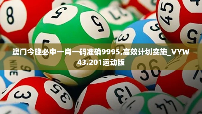 澳門今晚必中一肖一碼準確9995,高效計劃實施_VYW43.201運動版