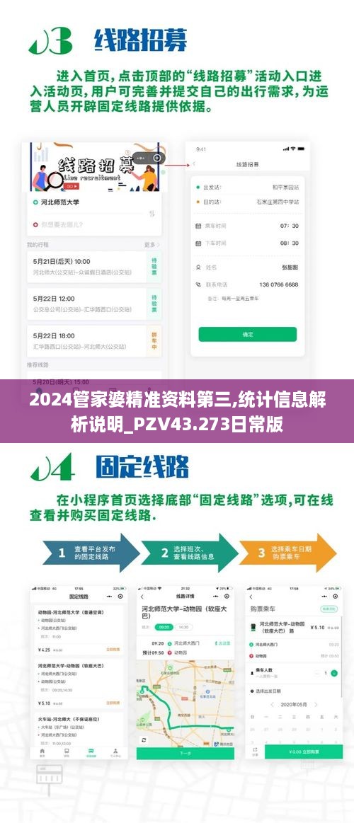 2024管家婆精準(zhǔn)資料第三,統(tǒng)計(jì)信息解析說(shuō)明_PZV43.273日常版