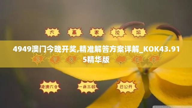 4949澳門今晚開獎,精準(zhǔn)解答方案詳解_KOK43.915精華版