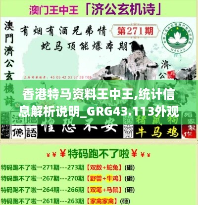 香港特馬資料王中王,統(tǒng)計(jì)信息解析說(shuō)明_GRG43.113外觀版