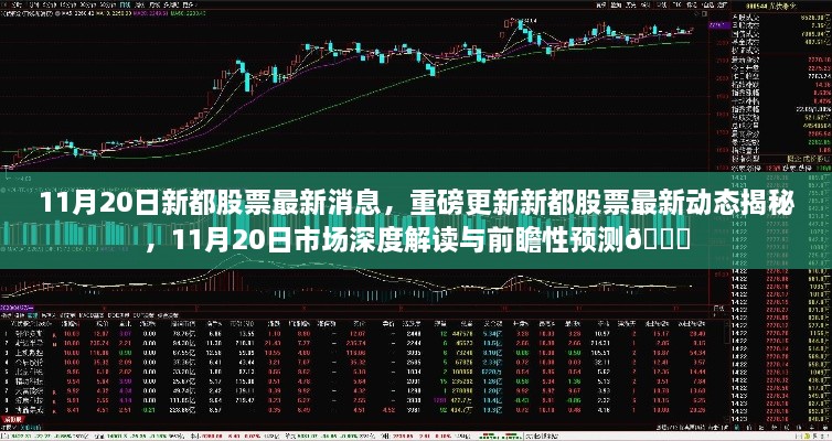 11月20日新都股票最新動態(tài)與市場深度解讀，前瞻性預(yù)測揭秘??