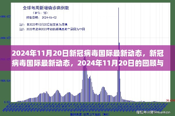 新冠病毒國際最新動(dòng)態(tài)，2024年11月20日的回顧與影響分析