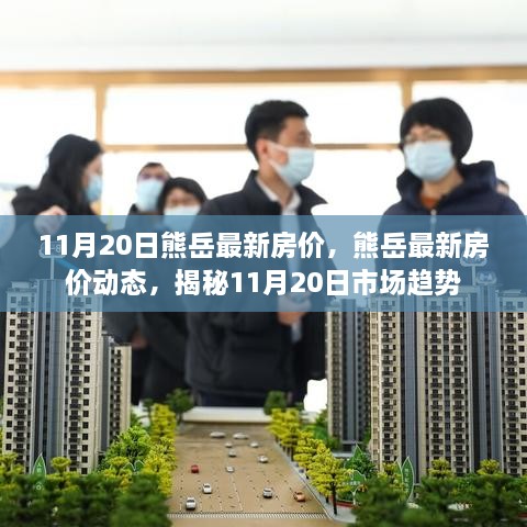 揭秘，熊岳最新房價動態(tài)及市場趨勢（11月20日更新）