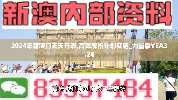 2024年新澳門天天開彩,高效解析計劃實施_力量版YEA3.24