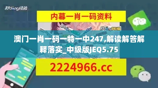 澳門一肖一碼一特一中247,解讀解答解釋落實(shí)_中級(jí)版JEQ5.75