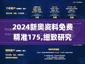 2024新奧資料免費精準(zhǔn)175,細致研究解析執(zhí)行_運動版GNK4.69