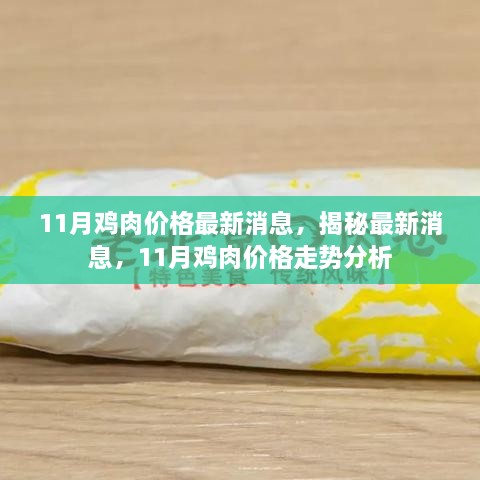 揭秘最新消息，11月雞肉價(jià)格走勢(shì)分析與預(yù)測(cè)