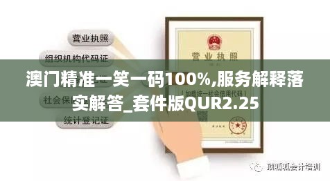 澳門精準一笑一碼100%,服務解釋落實解答_套件版QUR2.25