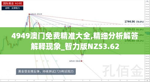 4949澳門免費精準大全,精細分析解答解釋現(xiàn)象_智力版NZS3.62