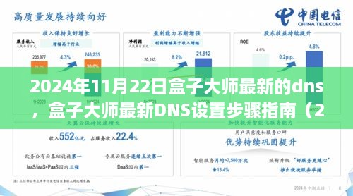 2024年11月22日盒子大師最新的dns，盒子大師最新DNS設(shè)置步驟指南（2024年11月版）