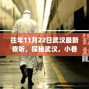 探秘武漢夜聽盛宴，小巷深處的獨(dú)特體驗(yàn)之旅（11月22日）