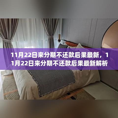 11月22日來分期不還款后果最新解析，全面審視其影響