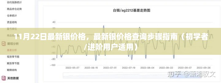 最新銀價格查詢指南，步驟詳解，適用于初學者與進階用戶（11月22日更新）