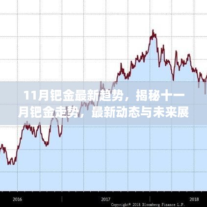 揭秘鈀金走勢，最新動態(tài)與未來展望（十一月版）