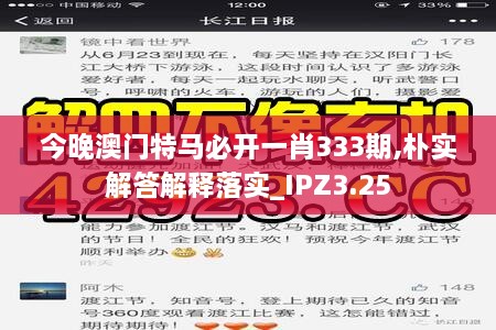 今晚澳門特馬必開一肖333期,樸實解答解釋落實_IPZ3.25