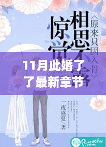 11月此婚了了最新章節(jié)，婚緣十一月，溫馨日常與愛(ài)的紐帶