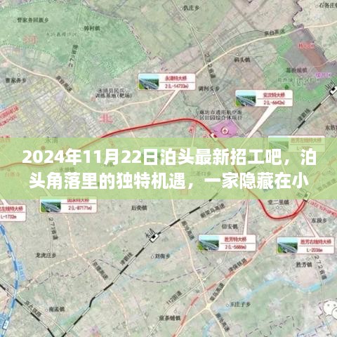 2024年11月22日泊頭最新招工吧，泊頭角落里的獨(dú)特機(jī)遇，一家隱藏在小巷中的特色小店招工記