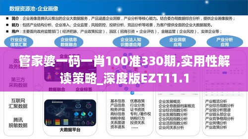 管家婆一碼一肖100準330期,實用性解讀策略_深度版EZT11.1