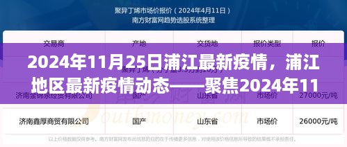 2024年11月25日浦江地區(qū)疫情動態(tài)，防控進展與科普解讀