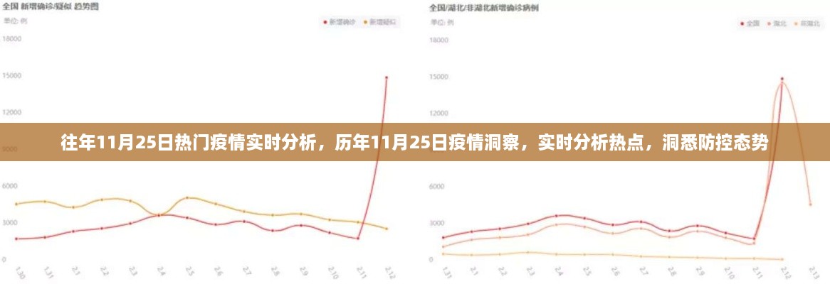 歷年與即時洞察，11月25日疫情深度分析與防控態(tài)勢實時觀察