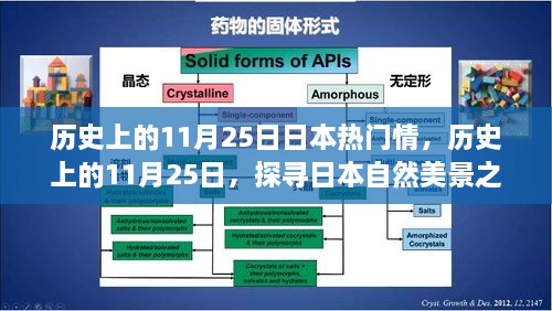 探尋日本自然美景之旅，歷史上的11月25日與日本情感之旅的寧靜與平和