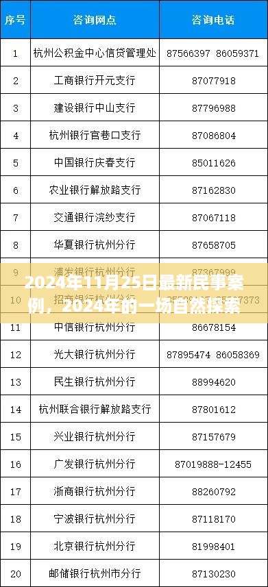 民事案例背后的心靈之旅，自然探索之旅的啟示（2024年最新案例）