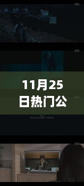 11月25日熱門公開視頻在線觀看，全面評測與介紹