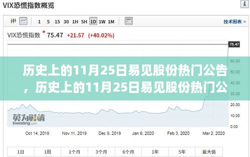 歷史上的11月25日易見股份熱門公告揭秘，重大事件一覽