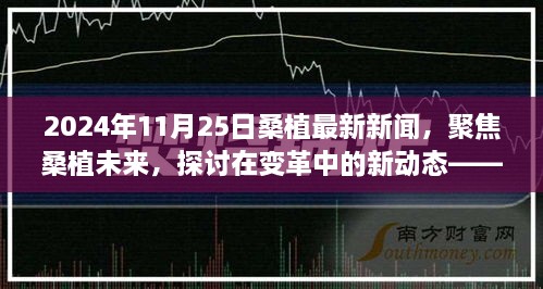 變革中的新動態(tài)，聚焦桑植未來——2024年11月25日桑植最新新聞視角